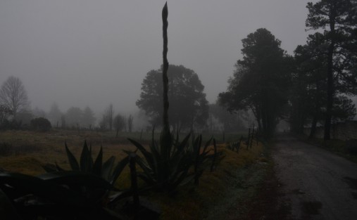 La masa de aire frío asociada al frente frío 32 mantiene valores bajos de temperatura. Así amanecieron esta mañana de martes en Las Vigas, Ver. 