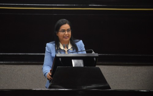 En tribuna, la legisladora Adriana Paola Linares Capitanachi planteó reformas a la Ley de los Derechos de Niñas, Niños y Adolescentes del Estado, para incorporar, en la ley, la perspectiva de la infancia y la adolescencia.  
