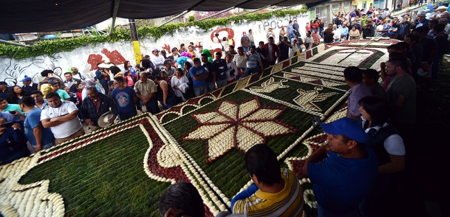 Como cada año, el color y tradición, estuvieron presentes en municipio de Teocelo durante sus fiestas en honor al<em>Santo Entierro de Cristo</em>.  Este sábado tocó la tradicional bajada del arco floral en el que participan cientos de feligreses y danzantes. 