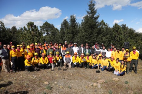 El gobernador Cuitláhuac García presentó la Estrategia de Combate a Incendios Forestales; Pide a la población un manejo responsable del fuego, pues un 70 por ciento de los siniestros ocurridos en 2019 pudo haberse evitado. 
_*Este año, la fuerza de tarea es de 382 elementos, entre brigadistas estatales y combatientes rurales