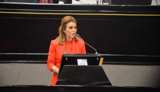 La diputada Andrea de Guadalupe Yunes Yunes presentó la iniciativa que reforma diversas disposiciones de la Ley de Salud del Estado, con lo que se pretende armonizar esta legislación a lo dispuesto en la General, a fin de generar un enfoque de atención primaria con énfasis en prevención y diagnóstico temprano del cáncer pediátrico. 
