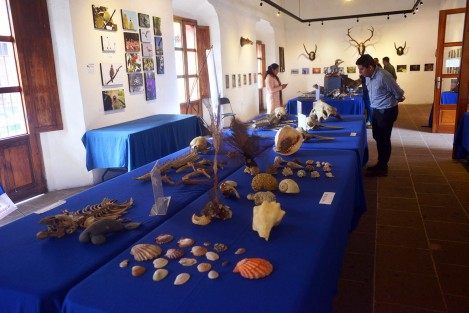 En el Centro Recreativo Xalapeño (CRX) continúa la exposición, La Biodiversidad Amenazada, que permanecerá hasta el 27 de febrero con muestras de animales disecados, fotos y esqueletos.  No deje de llevar a su niños.  