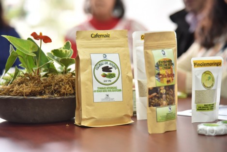 Cultivo de vainilla, siembra de café, cultivo de hongos comestibles, producción apícola en bosques, meliponicultura, entre otras técnicas, serán mostradas en una jornada intensiva de alternativas de producción en el campo veracruzano, teniendo como sede el Palacio Legislativo en esta ciudad el próximo 18 de febrero.