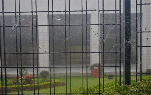 Así lucen las rejas que rodean el Palacio Legislativo de Veracruz. ¿Mensaje subliminal del estado que guarda la labor legislativa? ¿O sólo señal de que hay muchas arañas que se alimentan ahí? 