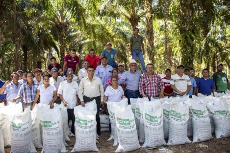 La Secretaría de Desarrollo Agropecuario, Rural y Pesca (SEDARPA) proporcionó 51 toneladas de fertilizante “Triple 17” a cerca de mil 500 productores de aceite de palma de aceite de 173 comunidades, en San Juan Evangelista, Mecayapan, Cosoleacaque, Tatahuicapan, Hidalgotitlán y Hueyapan. 