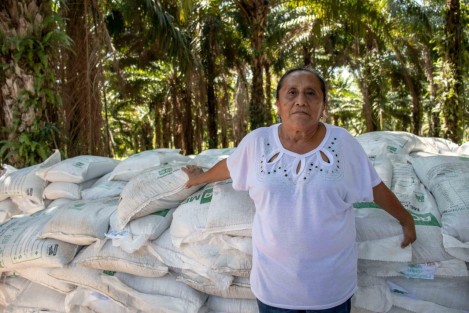 La Secretaría de Desarrollo Agropecuario, Rural y Pesca (SEDARPA) proporcionó 51 toneladas de fertilizante “Triple 17” a cerca de mil 500 productores de aceite de palma de aceite de 173 comunidades, en San Juan Evangelista, Mecayapan, Cosoleacaque, Tatahuicapan, Hidalgotitlán y Hueyapan. 