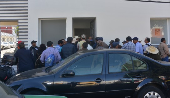 Productores de cítricos del municipio de Álamo Temapache acudieron a las oficinas de la Secretaría de Desarrollo Agropecuario, Rural y Pesca (SEDARPA),  para tratar de hablar con el titular de Eduardo Cadena Cerón, ya que no les han hecho válido el Seguro Catastrófico a campesinos que resultaron severamente afectados por la sequía en aquella zona. 