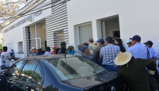 Productores de cítricos del municipio de Álamo Temapache acudieron a las oficinas de la Secretaría de Desarrollo Agropecuario, Rural y Pesca (SEDARPA),  para tratar de hablar con el titular de Eduardo Cadena Cerón, ya que no les han hecho válido el Seguro Catastrófico a campesinos que resultarron severamente afectados por la sequía en aquella zona.