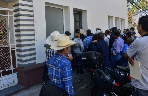 Productores de cítricos del municipio de Álamo Temapache acudieron a las oficinas de la Secretaría de Desarrollo Agropecuario, Rural y Pesca (SEDARPA),  para tratar de hablar con el titular de Eduardo Cadena Cerón, ya que no les han hecho válido el Seguro Catastrófico a campesinos que resultarron severamente afectados por la sequía en aquella zona.