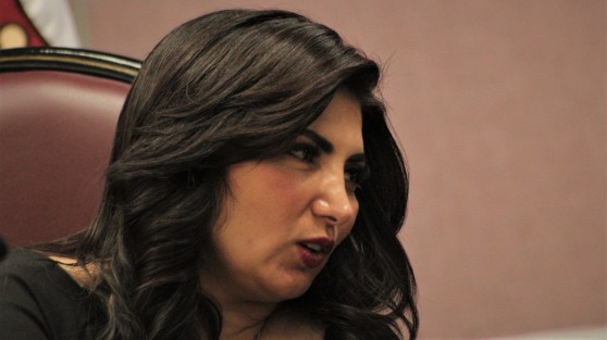 La diputada Érika Ayala Ríos y los diputados Jorge Moreno Salinas y Antonio García Reyes proponen reformar la Ley de Acceso de las Mujeres a una Vida Libre de Violencia para el Estado de Veracruz. con la finalidad de homologar, en la legislación estatal, los tipos penales de Hostigamiento y Acoso Sexuales.  