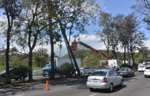 Debido a las fuertes rachas de viento ocasionadas por el frente frío 41, hubo varios  árboles caídos en distintos puntos de la ciudad de Xalapa;  una estructura metálica, postes de alumbrado y hasta el techo  de una escuela colapsaron. Se espera que conforme avance la tarde, los vientos disminuyan