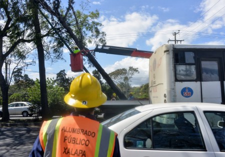 Debido a las fuertes rachas de viento ocasionadas por el frente frío 41, hubo varios  árboles caídos en distintos puntos de la ciudad de Xalapa;  una estructura metálica, postes de alumbrado y hasta el techo  de una escuela colapsaron. Se espera que conforme avance la tarde, los vientos disminuyan