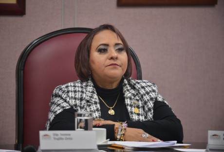 En apoyo a los productores veracruzanos y en reconocimiento a su contribución a la economía y desarrollo del estado y del país, el 30 de mayo sería instituido en Veracruz como el Día Estatal de la Citricultura, de acuerdo con la Iniciativa de Decreto presentada por la diputada Adriana Esther Martínez Sánchez ante la Diputación Permanente.
