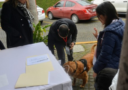 En medio de mucha seguridad se realizó la Primera Sesión Ordinaria de la Conferencia Nacional de Procuración de Justicia Zona Sureste en conocido hotel de Xalapa. Presentes el subprocurador de la FGR, Roberto Ochoa Romero; el secretario de Gobierno, Eric Cisneros; la encargada de despacho de la Fiscalía, Verónica Hernández;  y  los presidentes del Poder Legislativo y Judicial, Rubén Ríos y Sofía Martínez, respectivamente. 