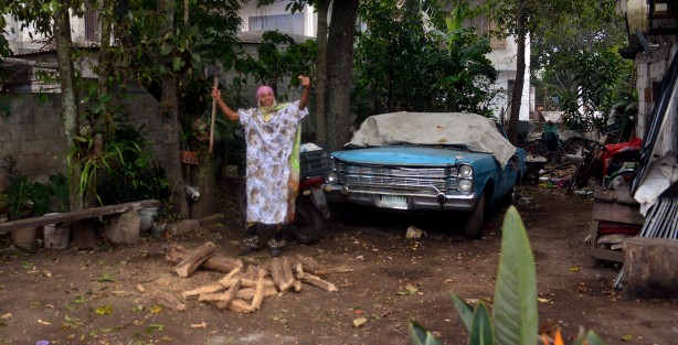 Este fin de semana, la comunidad de Almolonga, municipio de Naolinco Veracruz, se olvidó de los problemas y dieron  paso a la alegría con su tradicional carnaval que recorre las calles de esta pequeña comunidad llena de magia y color.   