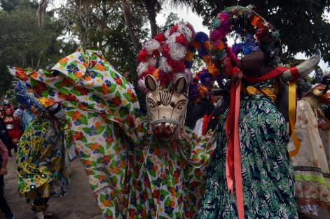 Este fin de semana, la comunidad de Almolonga, municipio de Naolinco Veracruz, se olvidó de los problemas y dieron  paso a la alegría con su tradicional carnaval que recorre las calles de esta pequeña comunidad llena de magia y color.   