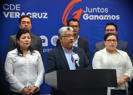 Joaquín Guzmán Avilés, dirigente estatal del PAN, afirmó que las autodefensas que han aparecido en Veracruz hablan de ingobernabilidad.  