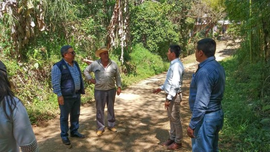 El Alcalde de Teocelo, Mario Antonio Chama en compañía de la Dirección de Obras y la Secretaria de Ayuntamiento, Trinidad Martínez, continúan realizando recorridos en calles y colonias de cabecera y comunidades del Municipio. Esta ocasión en el camino a Isla Grande y su conexión a la Calle el Bambú con el objetivo de observar y  analizar opciones viables de crecimiento  en caminos y servicios para la ciudadanía.