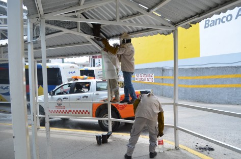 Personal de Protección Civil de Tlapacoyan, Ver., acudió a  retirar un enjambre de abejas de las instalaciones de la Terminal de autobuses VÍA, ya que las mismas yahabían picado a algunas personas. Estos insectos se alteran con las temperaturas elevadas, por lo que se recomienda criarlas lejos de zonas urbanas.