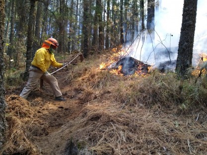 Durante la temporada crítica de incendios forestales, del 15 de enero al 31 de marzo, la Secretaría de Medio Ambiente (SEDEMA), a través de sus 35 brigadistas adscritos a la Dirección General de Desarrollo Forestal, ha participado en sofocar 17 quemas que han dañado 244 hectáreas, principalmente bosques de pino-encino.

 
