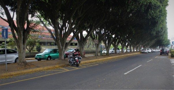 Poco movimiento en la Avenida Encanto a la altura del Palacio Legislativo y Registro  Civil a causa de quienes están siguiendo la recomendación de quedarse en casa.  