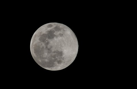 La llamada Luna Rosa, se pudo observar en su esplendor en Xalapa, la noche y madrugada de este martes y miércoles. Cabe señalar que la Luna no se tiñe de rosa; este adjetivo sirve sólo para diferenciarla de otras superlunas que ocurren durante el año, y no porque adquiera el color. 