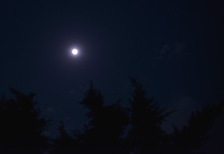 La llamada Luna Rosa, se pudo observar en su esplendor en Xalapa, la noche y madrugada de este martes y miércoles. Cabe señalar que la Luna no se tiñe de rosa; este adjetivo sirve sólo para diferenciarla de otras superlunas que ocurren durante el año, y no porque adquiera el color. 