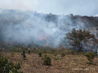 En Maltrata hay 95% de control y 60 de extinción, mediante combate directo, brechas cortafuego y patrullaje de las líneas de control por parte de elementos de la Comisión Nacional Forestal (CONAFOR), las secretarías de la Defensa Nacional (SEDENA) y Medio Ambiente (SEDEMA), además de Protección Civil municipal y la Brigada Zacatonal. 