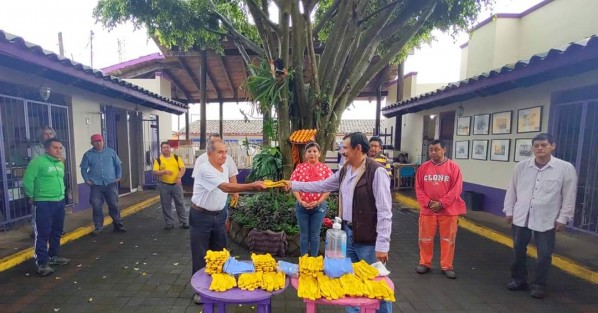 Dando continuidad a las acciones preventivas ante la contingencia de salud actual y con el objetivo de proveer de equipo a los trabajadores del Municipio para el buen desempeño de sus labores, el Ayto de Teocelo que encabeza el Alcalde Mario Antonio Chama, la Síndica Municipal, Zayra del Carmen Martínez Andrade y la Dirección de Ecología y Medio Ambiente, con sana distancia entregaron, pares de guantes e insumos a trabajadores sindicalizados y de confianza de las áreas de Limpia Pública y Planta de Lombricomposta. 