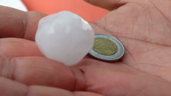 Durante la granizada que cayó la tarde de este miércoles en Xalapa, algunos alcanzaron gran tamaño, lo que  trajo a la memoria de los xalapeños la de hace unos años cuando incluso varios autos resultaron dañados.  Afortunadamente esta vez los daños no fueron tales.  