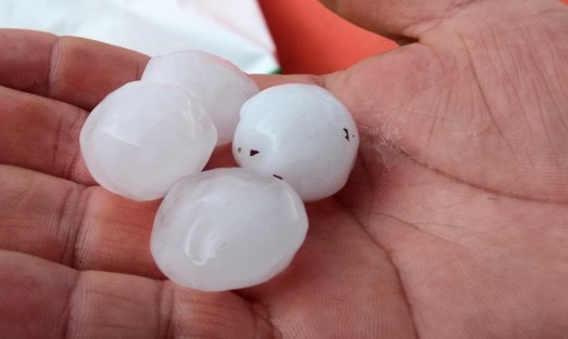 Durante la granizada que cayó la tarde de este miércoles en Xalapa, algunos alcanzaron gran tamaño, lo que  trajo a la memoria de los xalapeños la de hace unos años cuando incluso varios autos resultaron dañados.  Afortunadamente esta vez los daños no fueron tales.  