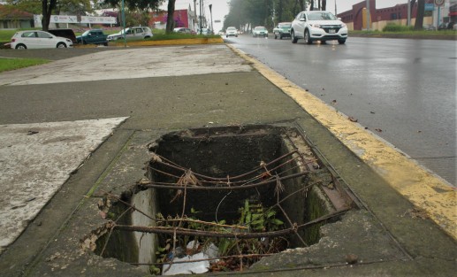 Cuando la esperanza a Xalapa nunca llegó.. Bienvenido a Xalapa sin florecer.  