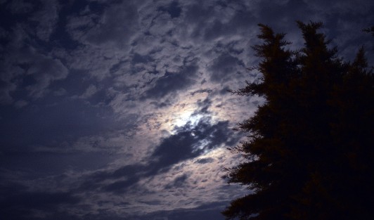 Imágenes de la superluna de mayo en Xalapa, la última del año, conocida también como la luna llena de las flores; se llama superluna al hecho que la luna llena coincida con el momento de máximo acercamiento a la Tierra (lo que se llama perigeo). Esto ocurre gracias a que la órbita lunar es elíptica y no circular. Cuando estamos ante una superluna la apreciamos algo más grande y brillante de lo normal.