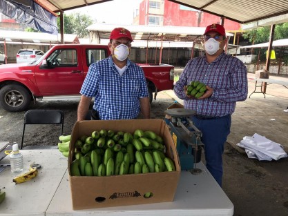 Tras el éxito de la primera Jornada de Consumo Solidario el pasado 6 de mayo, en favor de los productores del campo, la Secretaría de Desarrollo Agropecuario, Rural y Pesca (SEDARPA) organizó una segunda en la que se comercializaron 20 toneladas de mango, plátano, litchi y vainilla.