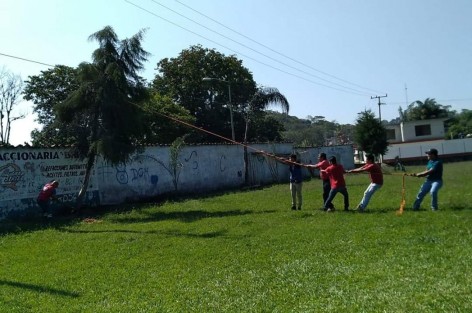 La Dirección de fomento Deportivo en coordinación con Protección Civil Teocelo, trabajaron en el mantenimiento del  campo deportivo el Magueyal, derribando un árbol que representaba un peligro para el cableado de luz y para la barda del campo deportivo, esto como resultado de las lluvias y fuertes vientos registrados en días pasados.