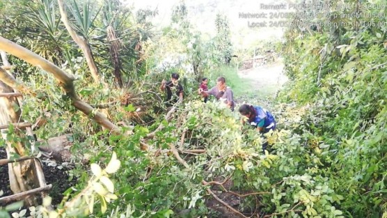 Continuaron los recorridos por daños materiales que causaronr las intensas precipitaciones y fuertes vientos con granizo.Acompañaron a la titular del DIF Municipal, Mara Chama,  PC Regional, PC Municipal y DIF Teocelo, así mismo a la secretaria del ayuntamiento Lic. Trinidad Larios . 

