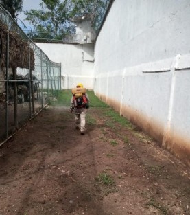 Ante el inicio de la Temporada de Lluvias y Ciclones 2020 el Estad de Veracruz garantiza acciones como son control larvario, rociado a casos probables e intradomiciliar preventivo, ovitrampas, nebulización (rociado espacial) y termonebulización; para prevenir y eliminar criaderos del mosquito Aedes aegypti. 