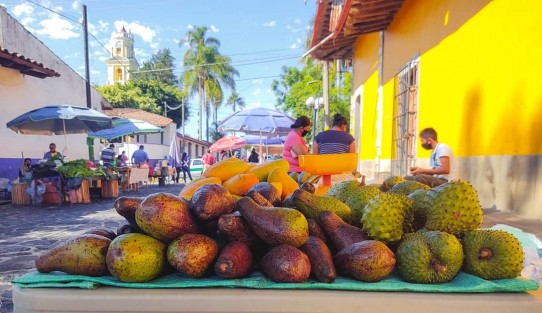 Protección Civil Teocelo continúa implementando medidas de prevención  para reducir la movilidad ante la pandemia por SARS-CoV-2(COVID-19) se informa a la ciudadanía que los accesos al Tianguis Dominical y Mercado Municipal se permitirá SOLO A UNA PERSONA POR FAMILIA CON USO DE CUBREBOCA, y en todo momento mantener la SANA DISTANCIA.  