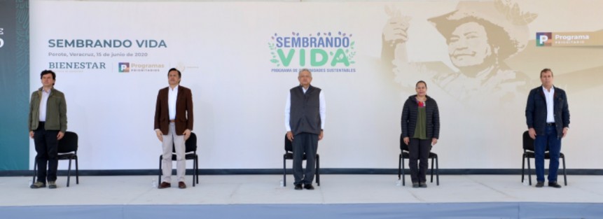El Presidente Andrés Manuel López Obrador y la secretaria, María Luisa Albores González, el gobernador Cuitláhuac García supervisaron los avances del programa Sembrando Vida en Perote,con el cual ‪más de 68 mil sembradores veracruzanos se involucran con su comunidad, aportan sustento a sus familias y contribuyen al medio ambiente.‬  