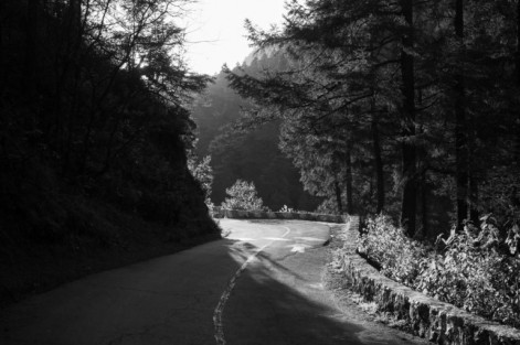 El curso <em>Balance de luces y sombras</em> mostrará los pasos a seguir para obtener el correcto nivel y balance desde nuestra cámara fotográfica