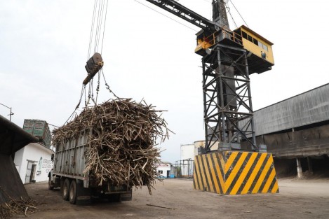 La Secretaría de Desarrollo Agropecuario, Rural y Pesca (SEDARPA) informó sobre la finalización de la zafra 2019-2020 en 18 ingenios azucareros, con una producción de 18 millones 429 mil 27 toneladas de caña. 