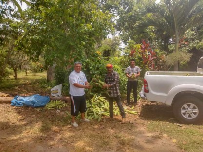  El Alcalde de Teocelo, Mario Antonio Chama Díaz recibe importante donación de 600 elotes para el Comedor Comunitario de Teocelo,  por parte del muy estimado amigo y paisano Videgaray  de Colipa, Veracruz;  un gran gesto que permitirá que la presidenta del DIF Municipal Mara Chama Villa  y su gran equipo de trabajo preparen los exquisitos tamales de elote de carne y de dulce para el Comedor Comunitario del próximo jueves. 
