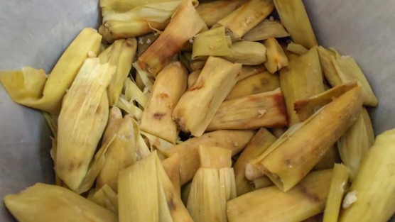 Este jueves se entregaron más de 1,500 tamales de elote, sopa de pasta y un delicioso atole de avena  a cientos de personas que se congregaron en el Comedor Comunitario de Teocelo, Ver.,  guardando en todo momento la sana distancia y siguiendo las medidas  sanitarias de prevención instruidas por el Equipo DIF.  