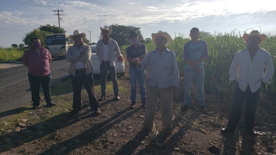Productores cañeros de los municipios de Zentla, Paso del Macho y Camarón se manifestaron en el tramo carretero  Ruta Colonial, límite de los municipios de Paso del Macho y Camarón de Tejeda exigiendo atención de  SEDARPA, cuyas  autoridades se comprometieron a  apoyar a los productores de caña de las dos organizaciones  CNC - CNPR. 
