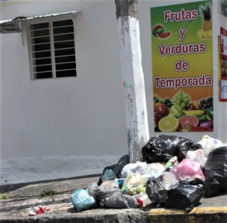 Fruta de la temporada, o el pan nuestro de cada día en Xalapa, la basura. 