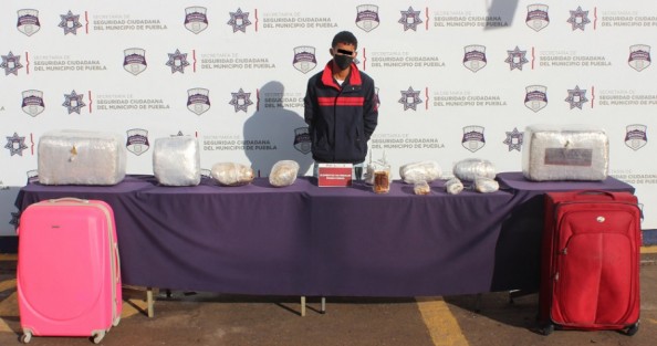 Detenido cuando pretendía viajar en autobús con 30 kilos de mariguana desde Puebla, Pue. hacia Perote, Ver..