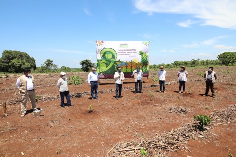Con la plantación de más de 800 árboles en la localidad Santa Rita Laurel de este municipio, mediante un sistema agroforestal, Veracruz se suma a la Jornada Nacional de Siembra de 100 millones de plantas, a cargo del programa Sembrando Vida. 