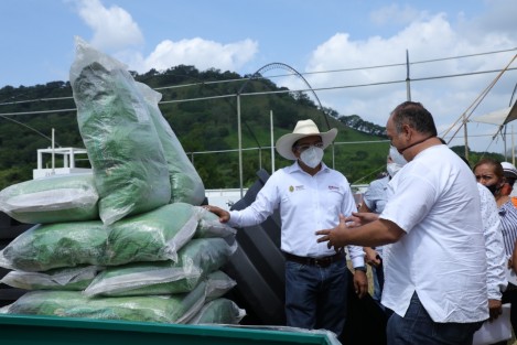Con insumos y herramientas tecnológicas por 10 millones de pesos, el Gobierno del Estado, en coordinación con la Federación y a través del programa Proyectos de Desarrollo Territorial (PRODETER), fortalece 657 unidades de producción familiar de ganado, café, cítricos, cacahuate, piloncillo y miel, en los municipios de Benito Juárez, Chicontepec, Ixhuatlán de Madero y Tlachichilco.  