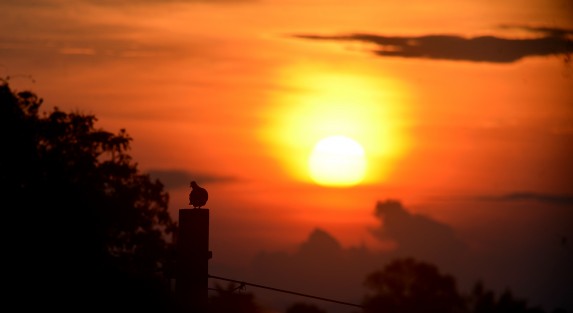 La Secretaría de Protección Civil emite a la población veracruzana  un Aviso Especial por Surada-Calor y aumento del potencial de lluvias-tormentas. Probabilidad de tormentas-lluvias fuertes;Surada rachas máximas 50 a 75 km/h: Ambiente caluroso a muy caluroso; Extreme precaución.