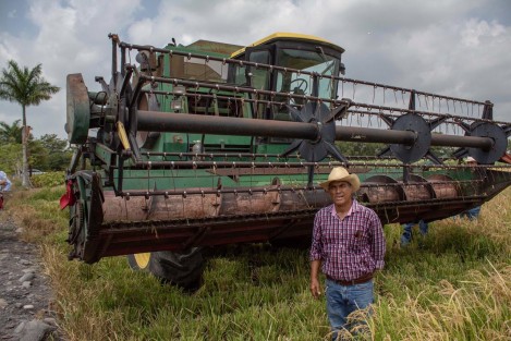 La Secretaría de Desarrollo Agropecuario, Rural y Pesca (SEDARPA) dio el banderazo de inicio para la cosecha de 31 hectáreas de arroz en Santa Rosa, El Diamante, El Cedro y Gallo Verde del municipio de Actopan, perfilando a Veracruz como principal proveedor de semilla certificada del cereal en el sureste mexicano. 